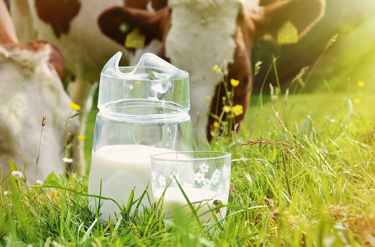Sustainability means more