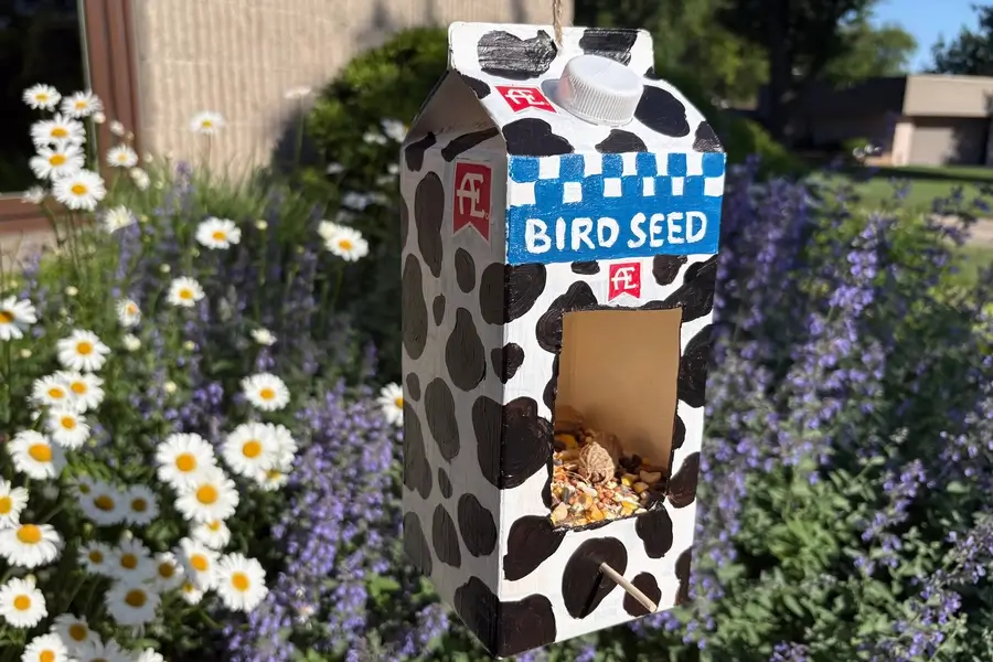 Bird Feeder 