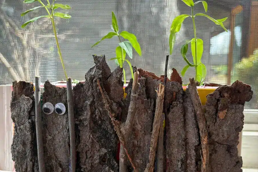Dairy Carton Planter Box 