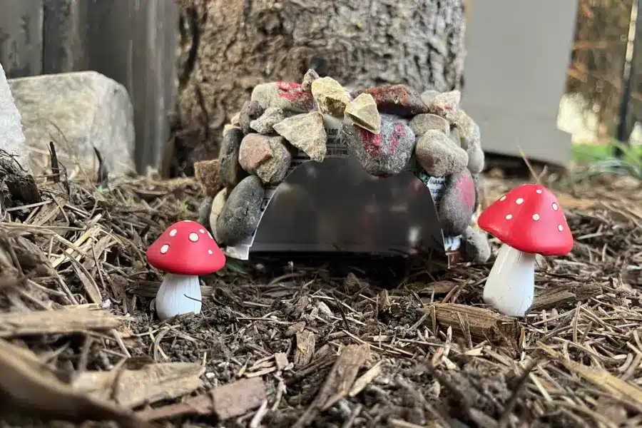 Toad House 
